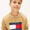 Sudadera raglán con el logotipo de Tommy Flag para niña