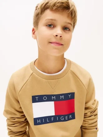 Sudadera raglán con el logotipo de Tommy Flag para niña