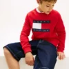 Sudadera raglán con el logotipo de Tommy Flag para niña