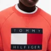 Sudadera raglán con el logotipo de Tommy Flag para niña