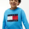 Sudadera raglán con el logotipo de Tommy Flag para niña