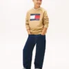 Sudadera raglán con el logotipo de Tommy Flag para niña