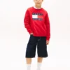 Sudadera raglán con el logotipo de Tommy Flag para niña