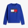 Sudadera raglán con el logotipo de Tommy Flag para niña