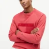 Sudadera raglán con logo de bandera y interior cepillado